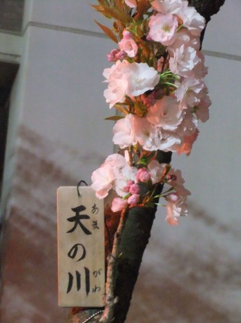 桜の通り抜け 003.jpgのサムネール画像