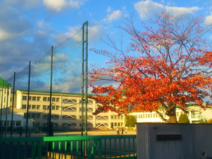 2012.11.27小堀①.jpg